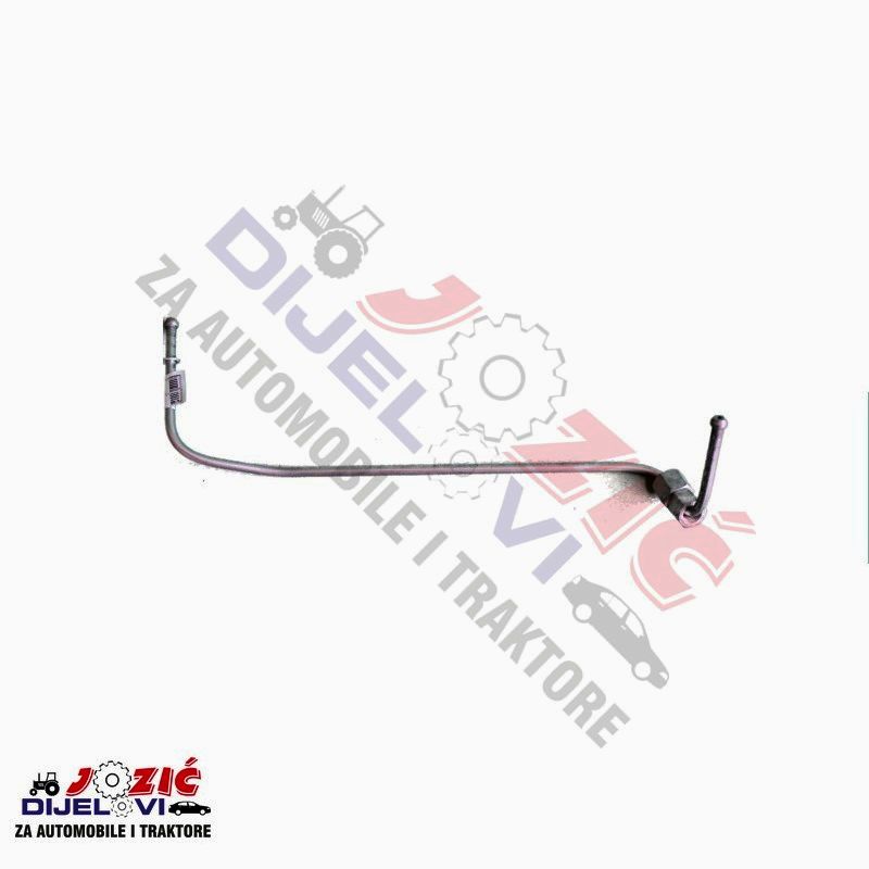 Daisy on the Ohoopee